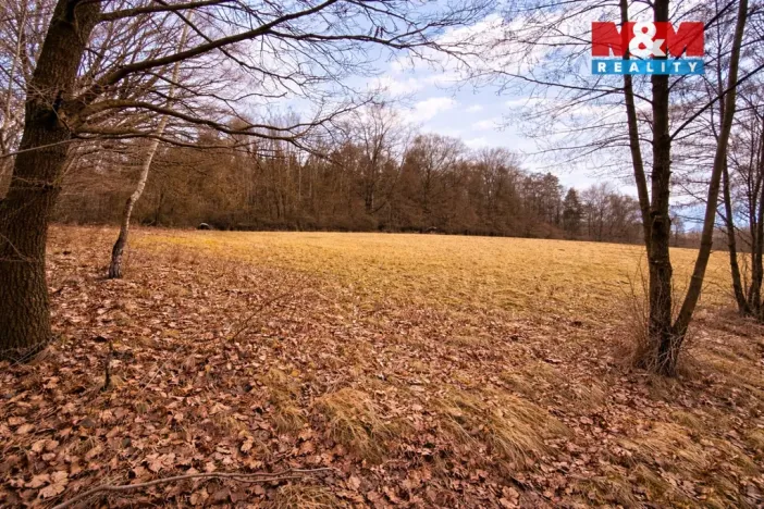 Prodej komerčního pozemku, Křečovice - Vlkonice, 68525 m2