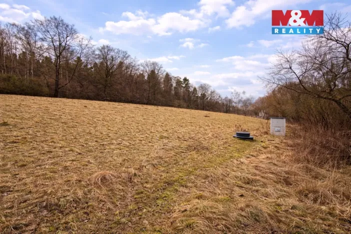 Prodej louky, Křečovice - Vlkonice, 68525 m2