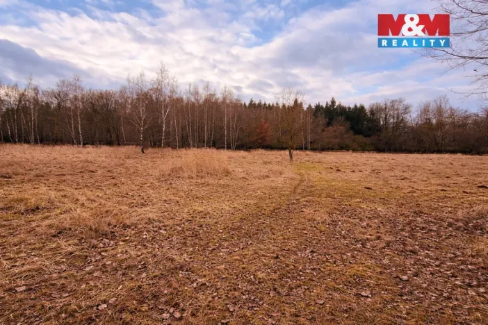 Prodej rybníku, Křečovice - Vlkonice, 68525 m2