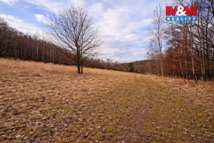 Prodej rybníku, Křečovice - Vlkonice, 68525 m2