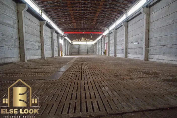 Pronájem skladu, Třebechovice pod Orebem, Plk. Zavorala, 6060 m2