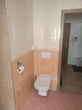 Pronájem bytu 1+kk, Frýdek-Místek, Ostravská, 32 m2