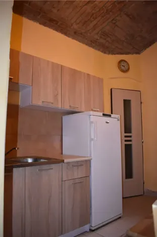 Dražba bytu 6+kk a větší, Praha - Vršovice, Slovinská, 280 m2