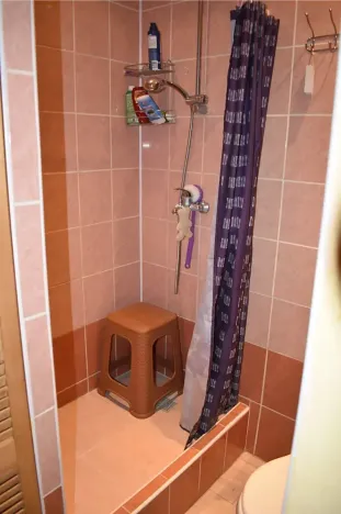 Dražba bytu 6+kk a větší, Praha - Vršovice, Slovinská, 280 m2