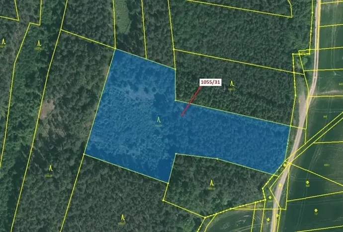 Dražba lesa, Milavče, 9168 m2