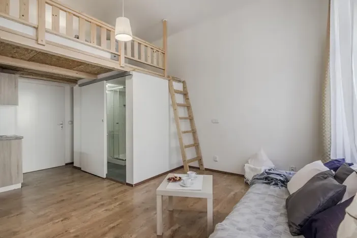 Pronájem bytu 1+kk, Praha - Žižkov, Milíčova, 25 m2