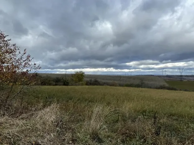 Prodej pole, Děkov, 11683 m2