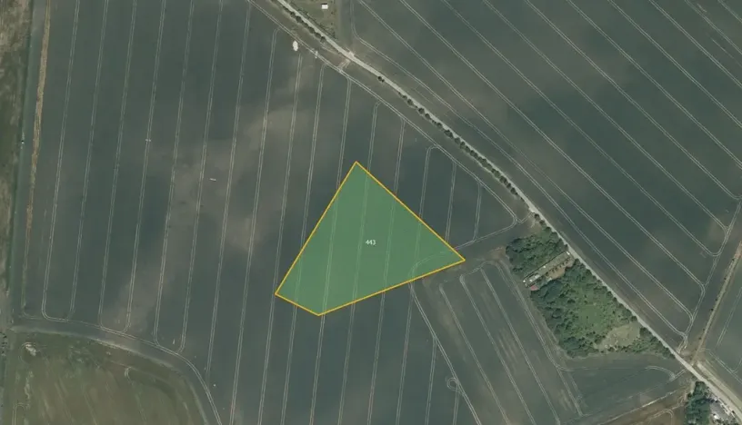 Prodej pole, Tuklaty, 43275 m2