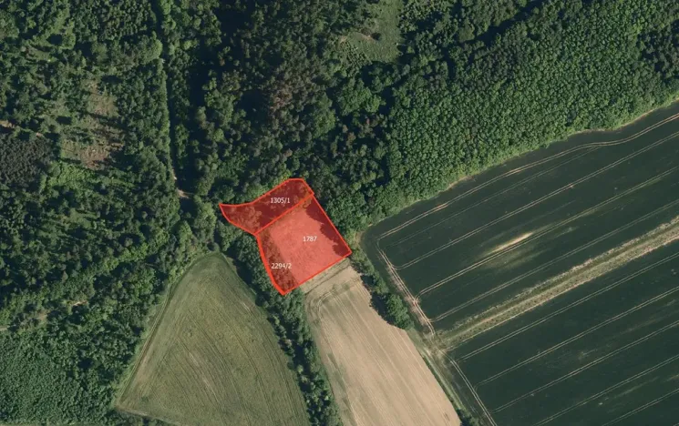 Prodej louky, Bělotín, 7028 m2