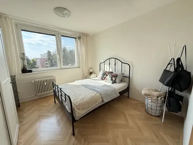 Pronájem bytu 2+1, Brno, Pěkná, 46 m2