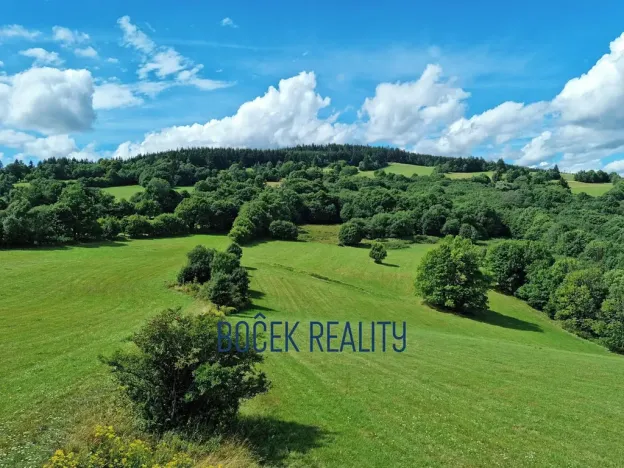 Prodej komerčního pozemku, Žacléř, 34107 m2