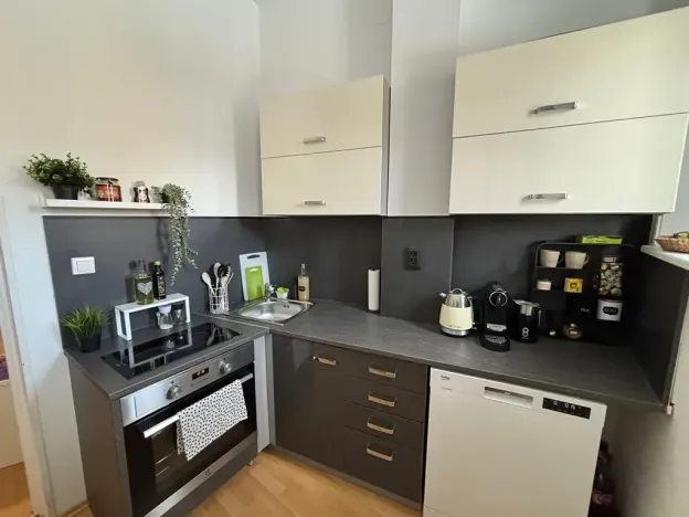 Pronájem bytu 2+1, Teplice, Lípová, 80 m2