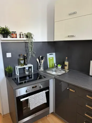 Pronájem bytu 2+1, Teplice, Lípová, 80 m2