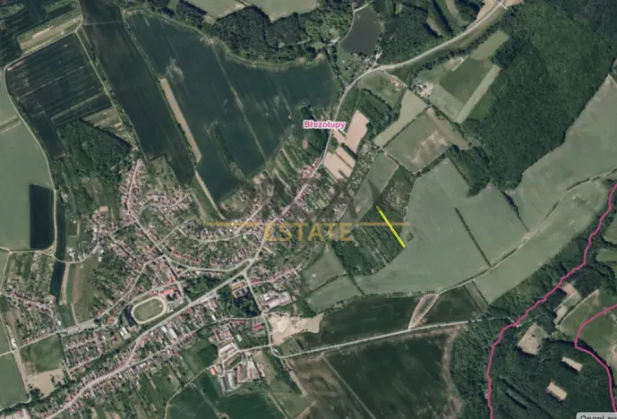 Prodej louky, Březolupy, 1729 m2