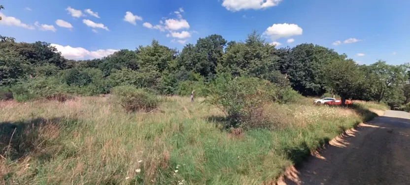 Pronájem zahrady, Líšnice, 7027 m2