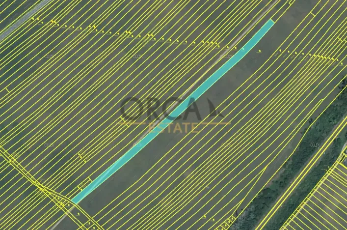 Prodej pole, Moravská Nová Ves, 3258 m2