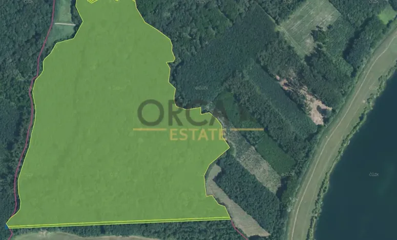 Prodej lesa, Kostelany nad Moravou, 58008 m2