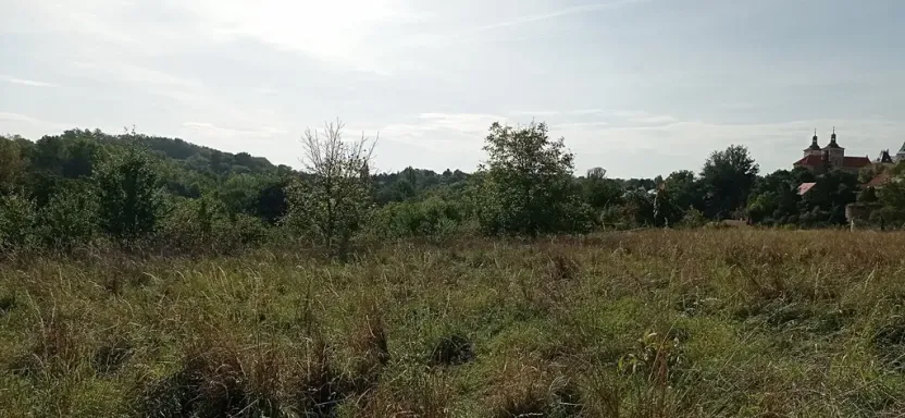 Prodej pozemku pro bydlení, Kouřim, Na Salabce, 2614 m2