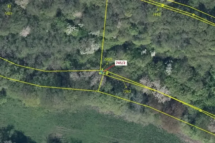 Dražba lesa, Zubrnice, 5 m2