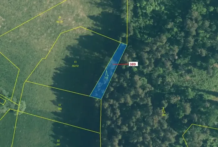 Dražba lesa, Zavlekov, 332 m2