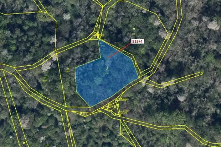 Dražba lesa, Zubrnice, 2875 m2