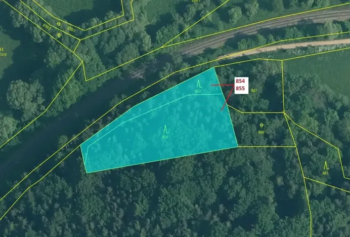 Dražba lesa, Rabí, 2561 m2