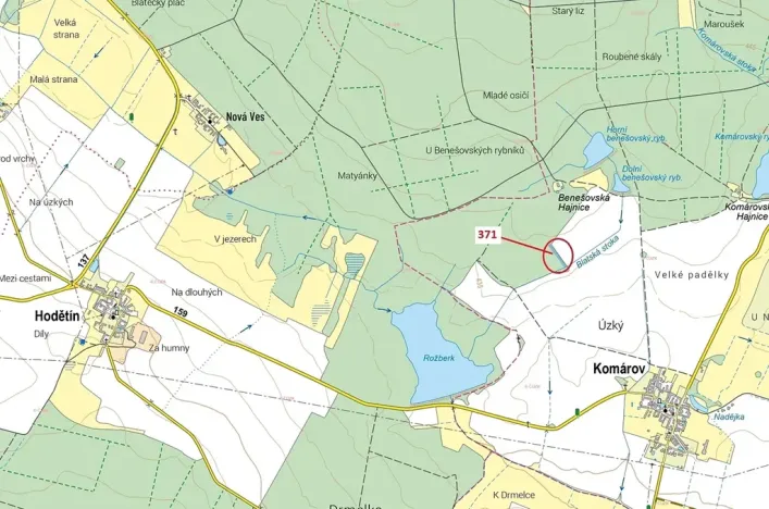 Dražba lesa, Komárov, 2175 m2