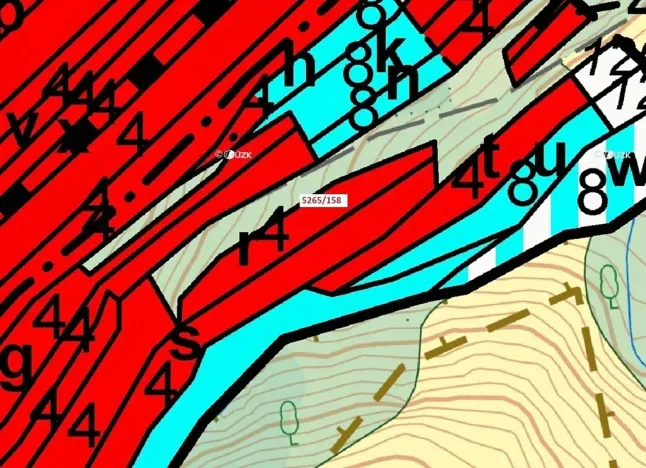 Dražba lesa, Strání, 1065 m2