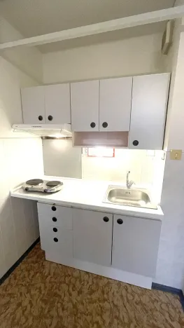 Pronájem bytu 1+kk, Praha - Chodov, Nad Opatovem, 30 m2