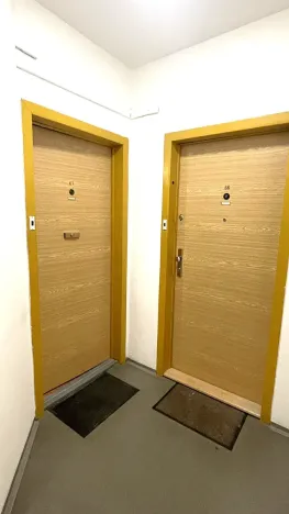 Pronájem bytu 1+kk, Praha - Chodov, Nad Opatovem, 30 m2