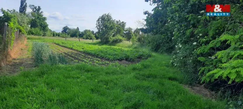 Prodej zahrady, Loučany, 1622 m2