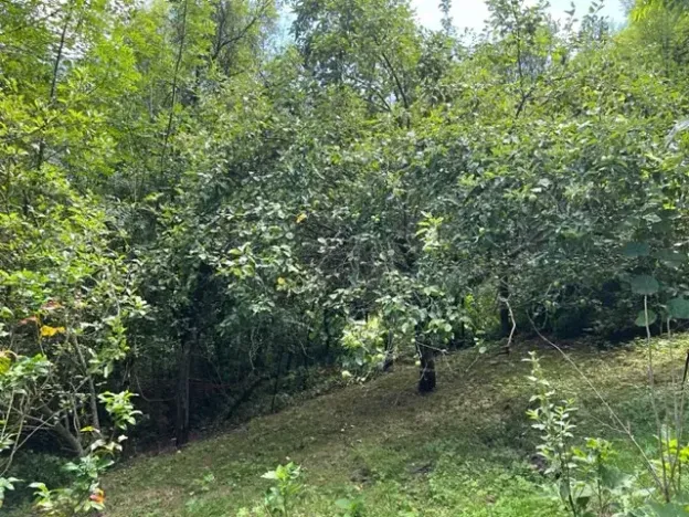 Pronájem zahrady, Křivoklát, 770 m2