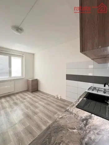 Pronájem bytu 1+1, Jirkov, Alešova, 35 m2