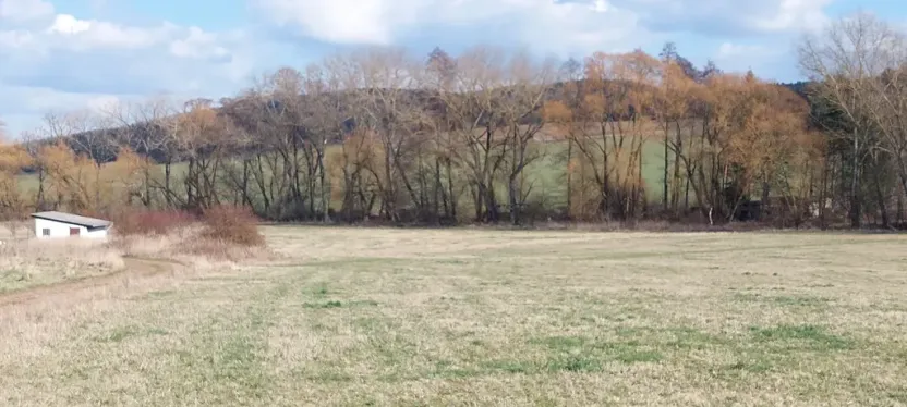 Prodej podílu louky, Podluhy, 1240 m2