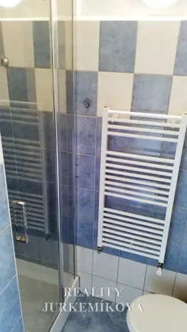 Pronájem bytu 1+kk, České Budějovice, Husova tř., 25 m2