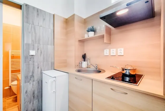 Pronájem bytu 1+1, Praha - Dejvice, Pod kaštany, 14 m2