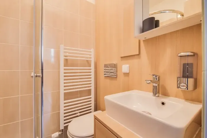 Pronájem bytu 1+1, Praha - Dejvice, Pod kaštany, 14 m2