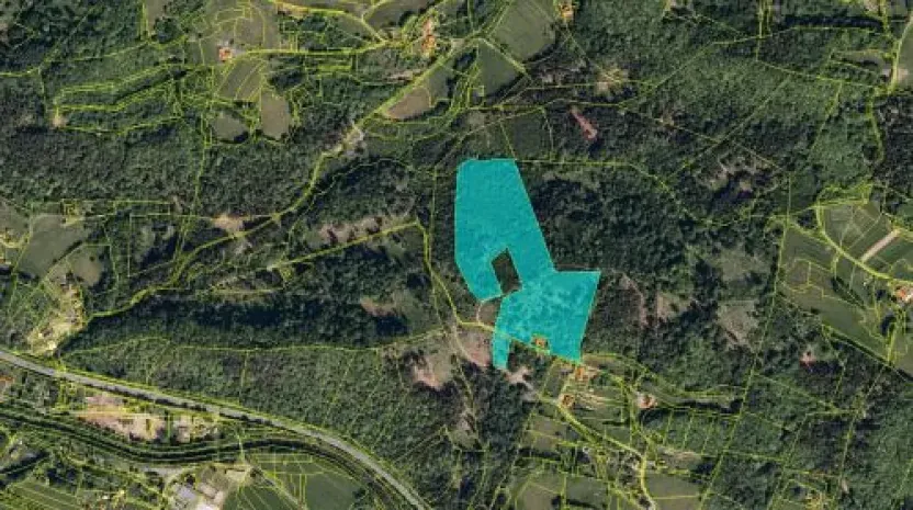 Prodej lesa, Prostřední Bečva, 45503 m2