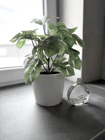 Pronájem bytu 2+kk, Brno - Ivanovice, Černohorská, 48 m2