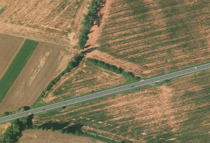 Prodej pole, Hořesedly, 4758 m2