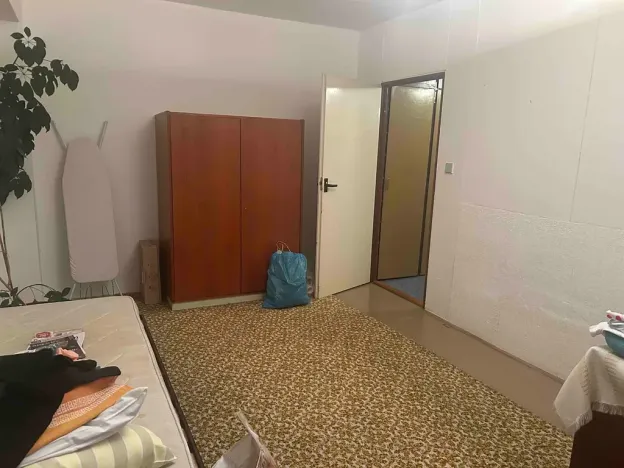 Prodej bytu 2+1, Mladá Boleslav, Palackého, 66 m2