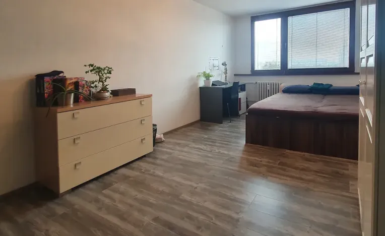 Prodej bytu 3+1, Mladá Boleslav - Mladá Boleslav II, Na Radouči, 84 m2