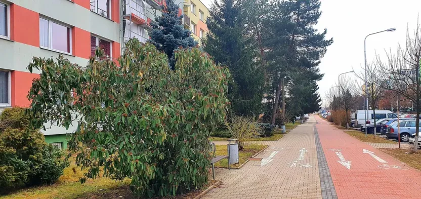 Prodej bytu 3+1, Mladá Boleslav - Mladá Boleslav II, Na Radouči, 84 m2