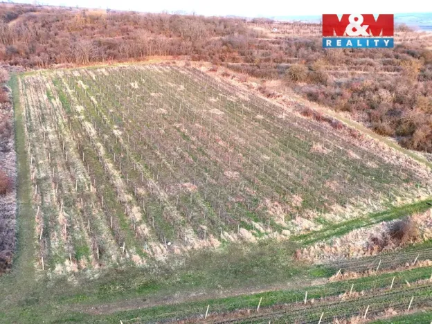 Prodej pole, Sedlec, 9215 m2