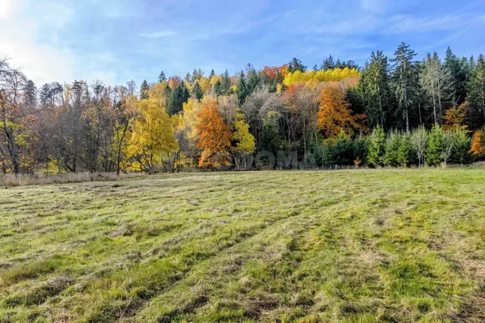 Prodej pozemku pro bydlení, Konstantinovy Lázně, 4381 m2