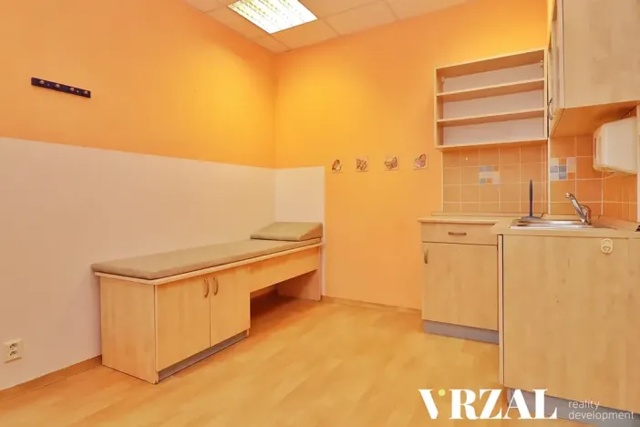 Pronájem ordinace, Plzeň, Francouzská třída, 80 m2