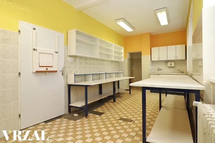 Pronájem ordinace, Plzeň, Francouzská třída, 80 m2