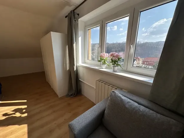 Pronájem bytu 1+1, Velké Hamry, 41 m2