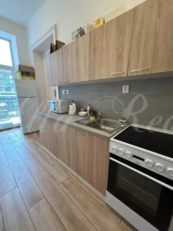 Pronájem bytu 5+kk, Brno - Ponava, Pionýrská, 15 m2