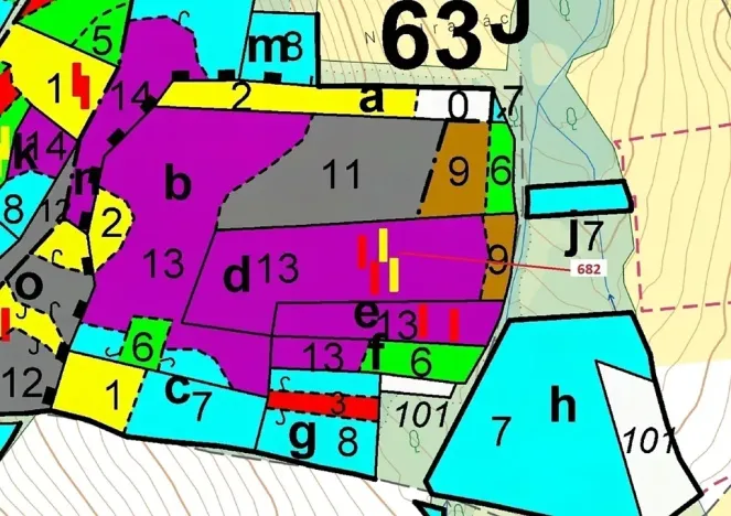 Dražba lesa, Kuřimany, 11584 m2